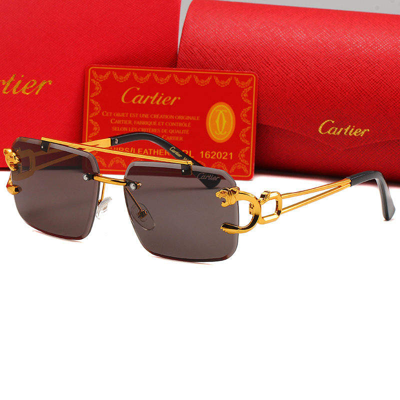 Cartier sunglasses-C5904S